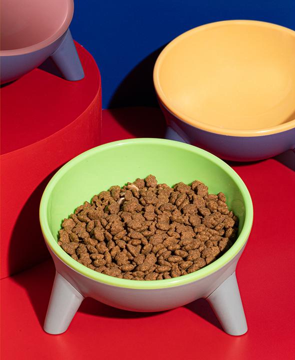 Contrasting Color Resin Pet Bowl