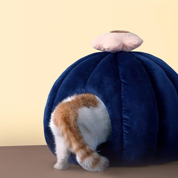 Contrast Color Cactus Shaped Cat House