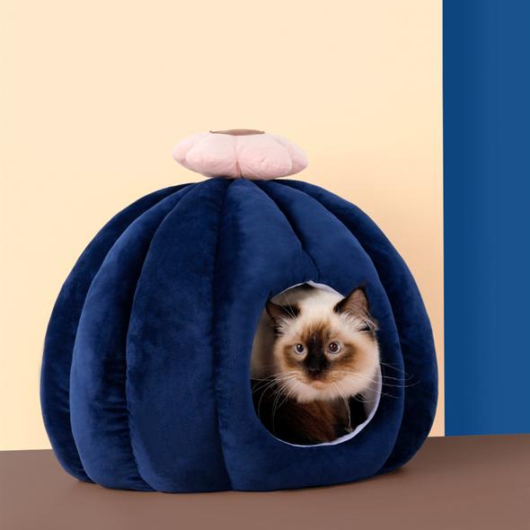 Contrast Color Cactus Shaped Cat House