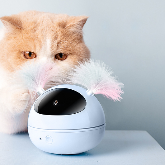360° Smart Laser Cat Toy
